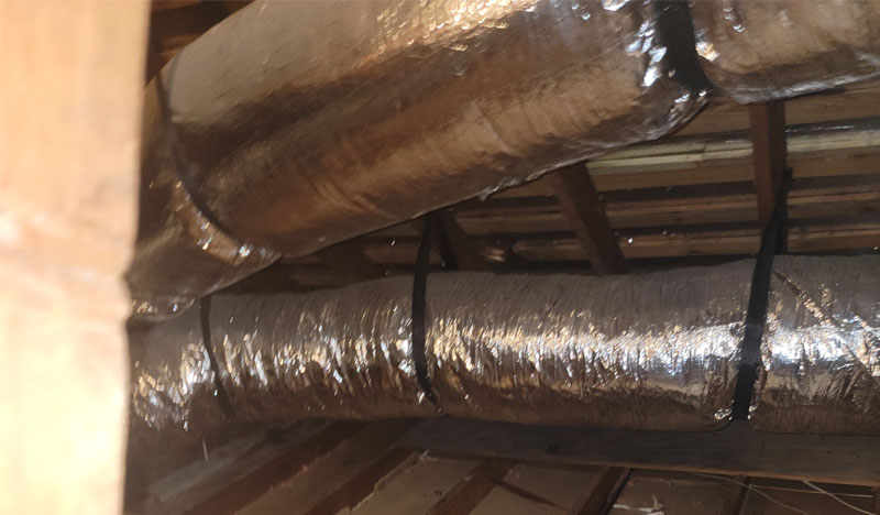 Attic Cleaning Restoration in Tampa